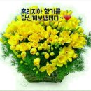 다누리종합관리