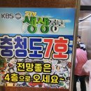 🍽 인천 연안부두 충청도 7호 횟집 후기 – 60첩 스끼다시의 위엄! 바다 뷰까지 완벽한 맛집