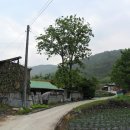 임동농장 이미지