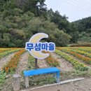 영주수도리김규진가옥 | 영주여행 / 무섬마을 / 가볼만한곳 / 외나무다리