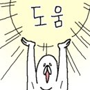 영스(YOUNG'S) 이미지