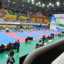 경희대 석사 비룡 태권도장 이미지