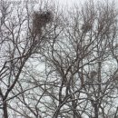 상수리숲농장 이미지