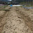 수기농장 이미지