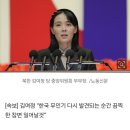 [속보] 김여정 “한국 무인기 다시 발견되는 순간 끔찍한 참변 일어날것” 이미지