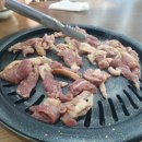 촌닭산오리 이미지