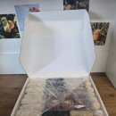 강릉과질 이미지