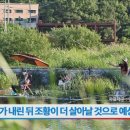 내동저수지낚시터 이미지