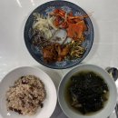 미르유도관 | 3월. 또다시 퍼진 역병