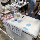 하이댕댕 펫살롱 이미지