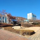 2026.2.28(토) 국토횡단 도보여행 (서원주역~원주 중앙시장)~ 13km 이미지