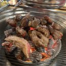 은행나무 갈매기 이미지