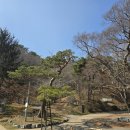 서광사 등산로 이미지