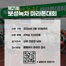 보성체육공원운동장 이미지