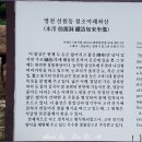 영천 선원동 철조여래좌상 이미지