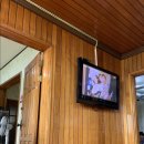 사리나무꽃이피는집 이미지