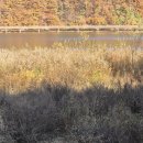 호수로6번길 이미지