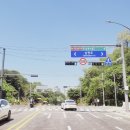 과천대로 이미지