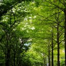 이너커피 이미지