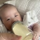 퇴근이 모야 이미지