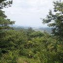 벌교읍사무소 이미지