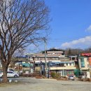 붕어마을 이미지