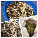 연서한의원 이미지