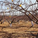 문촌2리 이미지