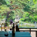 산수화펜션 이미지