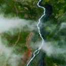 개발새발 이미지