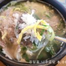 정일품설렁탕