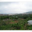 갈릴리농장 이미지