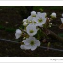 하늘구름목장 이미지