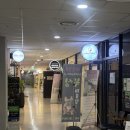 보람웰빙 | 범계마사지 ,평촌마사지 : 타이앤웰빙 타이마사지