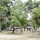 후평숲캠핑장 이미지