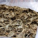 자연드림모현점 이미지