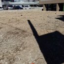 양덕동139 이미지