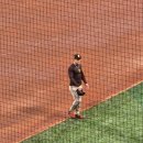 MLB 월드 투어 서울시리즈 2차전 관람후기 ㅣ 만족스러웠던 경험!