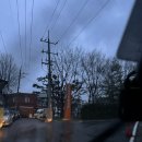 대구광역시 여성회관 | 대구 동구에 있는 동부여성문화회관 수영장 평일 자유수영 후기 !