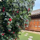 가야금피어나 | [스튜디오] 한옥 돌 촬영, 한옥 돌 잔치 1등 “ 예담헌 ” 촬영후기(+꿀팁)