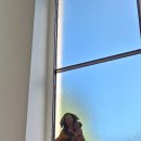 베를린성 이미지