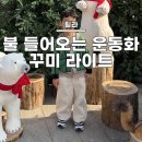 꾸미디자인 | 휠라 꾸미 키즈운동화 :: 판다 라이트 내돈내산 후기(불들어오는 운동화 사이즈 팁)