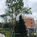 인창어반포레공인중개사사무소 이미지