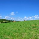 크린하임 이미지