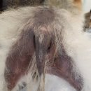 프리뷰티셀플라 이미지