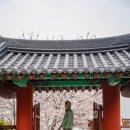 월전길 이미지