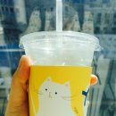 스트롱미