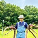 사슴농장 이미지