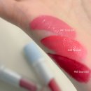 (주)핑크소울 | 타투 끌레르 벨벳 틴트 47쿨소프트, 49핑크러쉬, 50소울쿨 &amp; 누가 하이드앤핏 립펜슬 06피그누가 발색후기