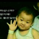 337쭈꾸미